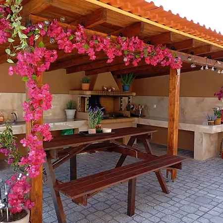 Mellifera * Λιμενάρια